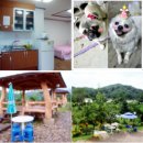 물안개피는 강가펜션 이미지