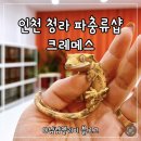 크레메스 | 인천 청라 파충류샵 : 크레메스 크레스티드 게코 전문샵 솔직후기