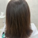 옥스포드빌딩(대청동) | ✨ 두피까지 편안했던 대청동미용실 지유엔헤어 새치염색 후기 💆‍♀️🌿