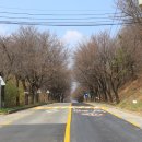 상백1리 마을회관 이미지