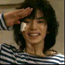 펫갤러리 이미지