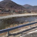 동진부동산중개사무소 이미지