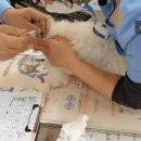 더샵 동물병원 이미지