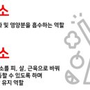 (효소) 02. 소화효소와 대사효소 이미지