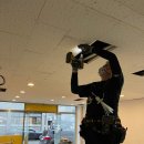 펫바스로 수지 이미지