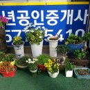 중앙여인숙 이미지