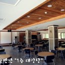 칠천도편백숲 이미지