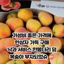 주원농장 이미지