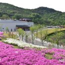 화랑마을 이미지