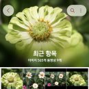 하룻강아지 | SONY ZV-10Ⅱ구매 후기