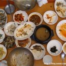 벌교꼬막나라