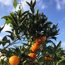 점봉여관 이미지