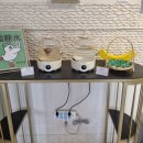 팔각공원 | 중국 칭다오 자유여행 2일차 홀리데이 인 시티센터 숙박과 조식, 팔각광장, 믹스씨(MIXC)