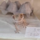 하대동277 이미지