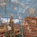 대산큰별작은도서관 | 코엑스몰 별마당도서관 크리스마스 트리 풍경 삼성 데이트 놀거리 가볼만한 곳