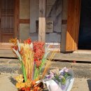 한수풀의원 | 2023년 장한철 문학제 이모저모 둘러보기