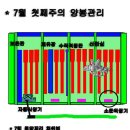 2017년 7월 첫째주의 양봉관리(병충해예방,로얄제리생산,프로폴리스망설치,소문확장기설치,군세고르기,소충제거,자동급이,분봉열방지) 이미지