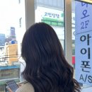 애쉬스튜디오