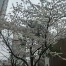 성사천어린이공원 이미지