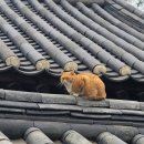 전주한옥마을역사관 | 🍂 가을 정취 물씬! 고즈넉한 전주 한옥마을 여행 후기