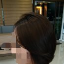 비엘헤어 네이버블로그