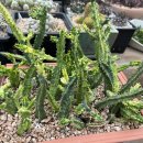 은월농장 이미지