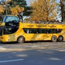 서울시티투어버스(주) 이미지