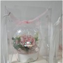 베이지 꽃 | 어버이날선물 루나베이지 레터링 카네이션 꽃풍선 내돈내산 구매후기