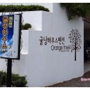 자주올레여행사