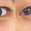 도노슈아 이미지