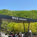 숲 | 자연과 정답게 이야기를 나누다, 대한민국 명소 화담숲 후기