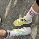 서구-5 | 2025 대전 서구청장배 마라톤 10km 후기