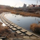 하천(갑천2-1) 이미지