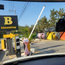 굽네치킨포항양포점 이미지