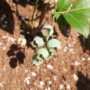 몽실농장 이미지