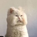 에이트짐 PT 노형점 | 스캠프짐 도장찍기 - 노형 (본관)