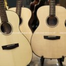 통기타(심화) 이미지