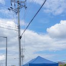 강릉송이 이미지