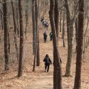 무봉산둘레길 이미지