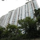 강남-204 이미지