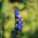 둥둥목장 이미지