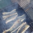 금마카센타 이미지