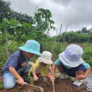 완서농장 이미지