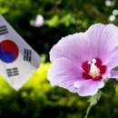 자영스포츠