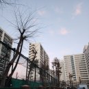 정곡초등학교 | 내집마련 3탄: 강서구 임장 후기(방화 2단지 그린아파트)