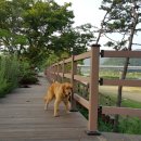 목도강변유원지 네이버블로그