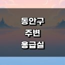 성심의료재단 | 안양 동안구 근처 정보 응급실 주말 병원 24시 큰 야간 영업시간
