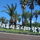 조교수 일기 - 국내 학회 참석 및 발표 후기 (학회 참석 후기: 2탄)