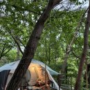 덕주야영장화장실 | 월악산 덕주야영장 캠핑장 이용 후기 1편- 시설정보(데크, 전기, 샤워실, 개수대, 주차, 숯불, 장작 등)