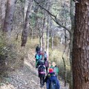 백운포로 이미지